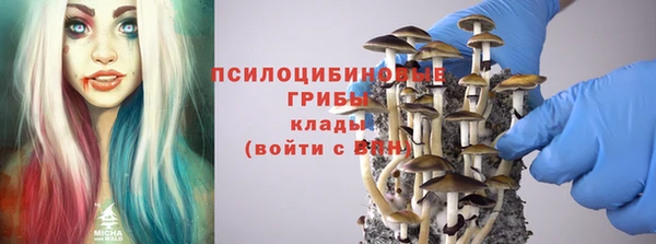 шишки Алзамай