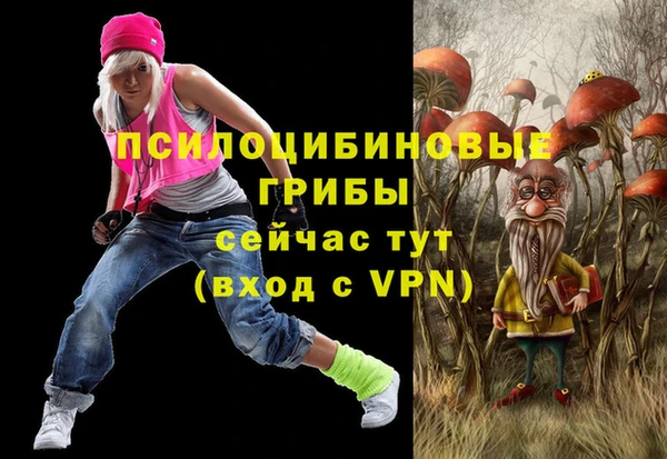 герыч Алексин
