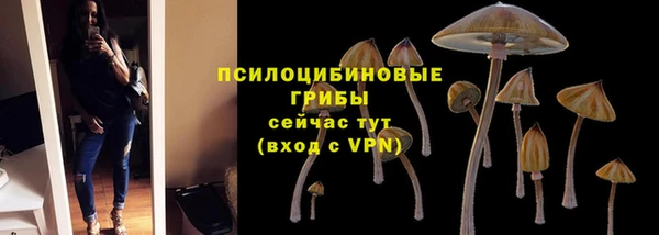 кокаин Алексеевка