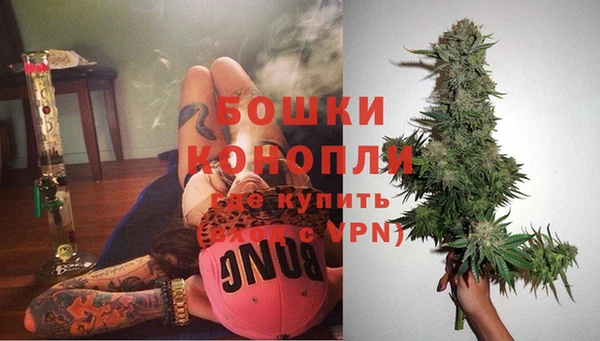 шишки Алзамай