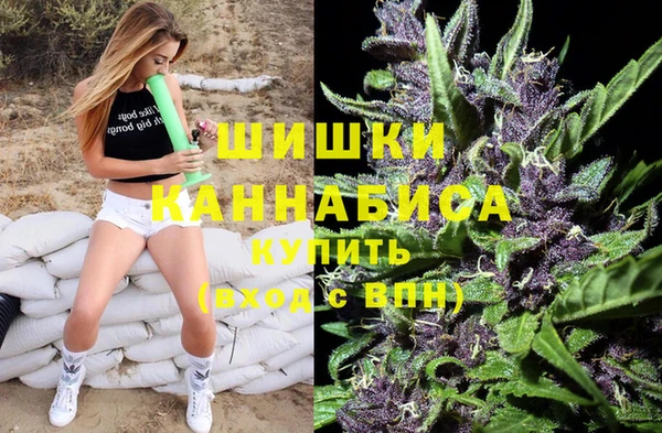 шишки Алзамай
