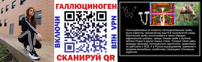Псилоцибиновые грибы GOLDEN TEACHER  Купить закладки  Голицыно 